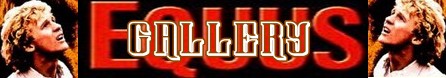 Equus banner gallery