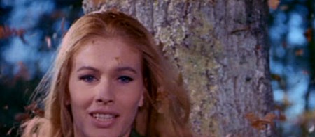 Evelyn Stewart Il dolce corpo di deborah