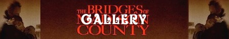 I ponti di Madison County banner gallery