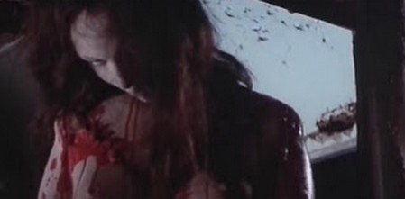 Il fiore dai petali d'acciaio 14