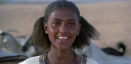 Il fiore delle mille e una notte 11