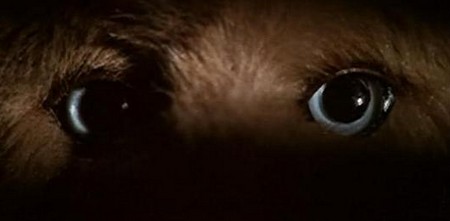 Il gatto dagli occhi di giada 7