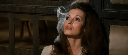 Il mondo dei robot 14