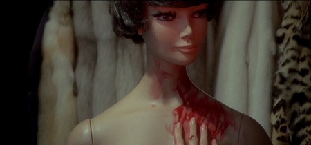 La tarantola dal ventre nero 4