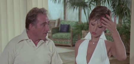 L'anatra all'arancia 11