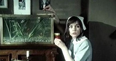 Leonora Fani E la notte si tinse di sangue