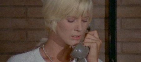 Mimsy Farmer 4 mosche di velluto grigio 1