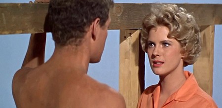 Mimsy Farmer Spencer Mountain