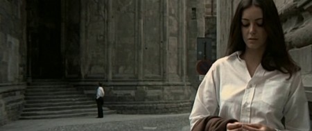 Una farfalla con le ali insanguinate 2