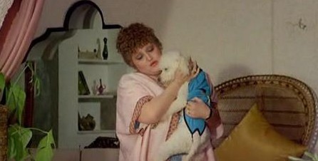 Vieni avanti cretino 11