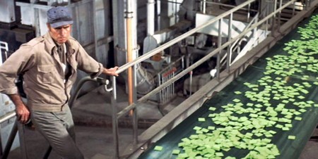 2022, I sopravissuti