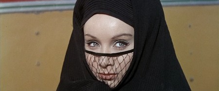 7 Maria Grazia Buccella-After the fox