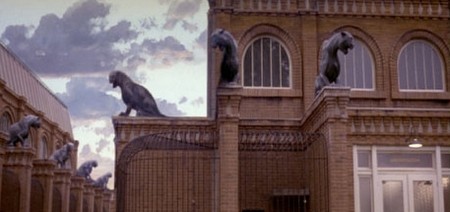 Il bacio della pantera 13