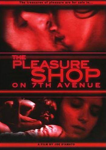 Il pornoshop della settima strada locandina