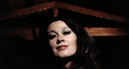 L’invasione delle api regine 1