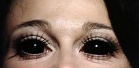 L’invasione delle api regine 16