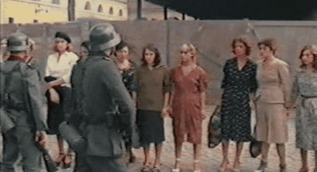 La svastica nel ventre