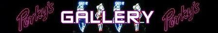 Porkys banner gallery