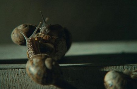 Acque profonde foto 8