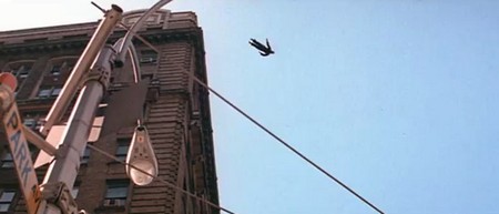 L'uomo che cadde sulla terra 14