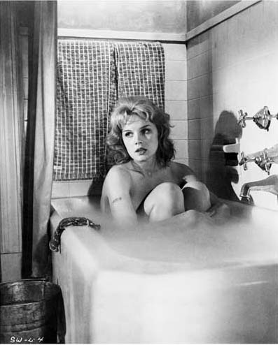 Carroll Baker Photobook 18