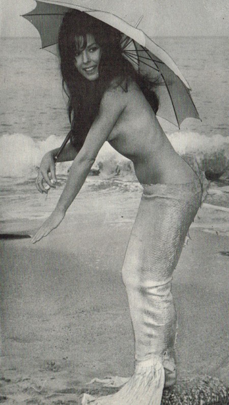 Dominique Boschero Photo 7