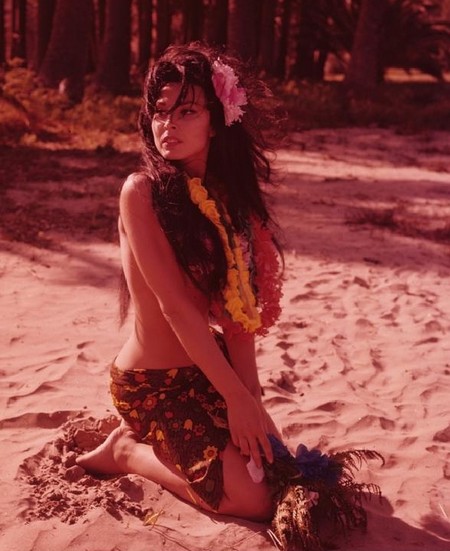 Dominique Boschero Photo 8