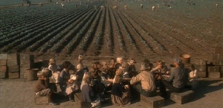 1 Questa terra è la mia terra