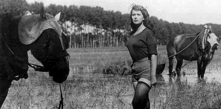 f Silvana Mangano Riso amaro