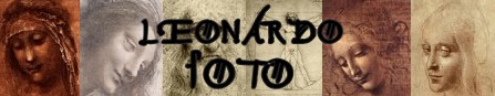 Leonardo da Vinci banner foto