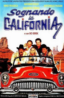 15 Sognando la California locandina