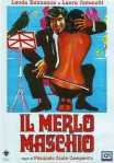 12 Il merlo maschio locandina