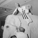 5 Marilyn Monroe pb 15