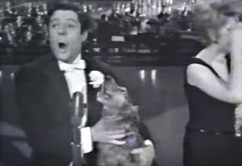 5 Mastroianni Studio uno