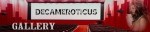 Decameroticus banner gallery