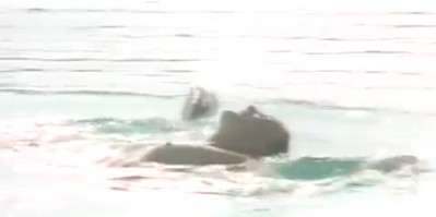 Il debito coniugale 10