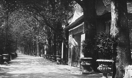 Arena Parco Michelotti Torino