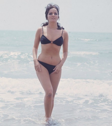 Lisa Gastoni Photobook 9