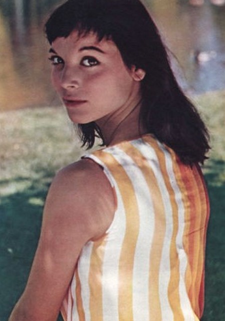 Elsa Martinelli foto 2