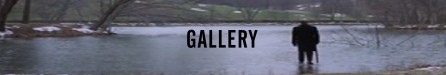 Oltre il giardino banner gallery