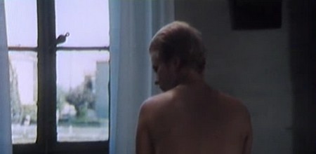 questa-specie-damore-15