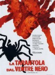 3-17-la-tarantola-dal-ventre-nero