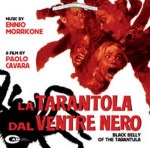 5-17-la-tarantola-dal-ventre-nero