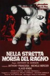 3-16-nella-stretta-morsa-del-ragno