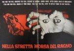 4-16-nella-stretta-morsa-del-ragno