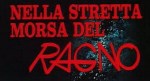 6-16-nella-stretta-morsa-del-ragno