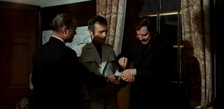 liguana-dalla-lingua-di-fuoco-7