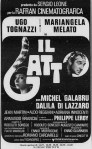 il-gatto