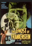 2-13 Il terrore di Frankenstein&nbsp;(1942)