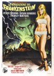 2-4 La maledizione dei Frankenstein&nbsp;(1967)